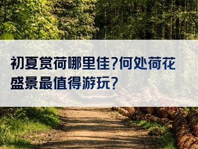 初夏赏荷哪里佳？何处荷花盛景最值得游玩？