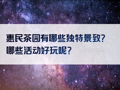 惠民茶园有哪些独特景致？哪些活动好玩呢？