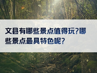 文县有哪些景点值得玩？哪些景点最具特色呢？