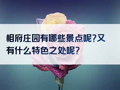相府庄园有哪些景点呢？又有什么特色之处呢？