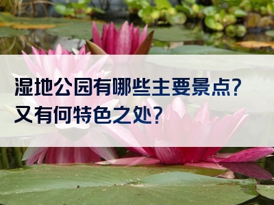 湿地公园有哪些主要景点？又有何特色之处？