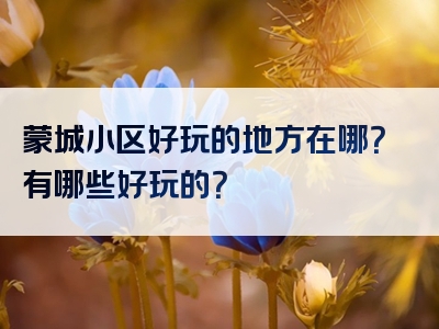 蒙城小区好玩的地方在哪？有哪些好玩的？