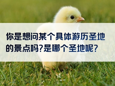 你是想问某个具体游历圣地的景点吗？是哪个圣地呢？