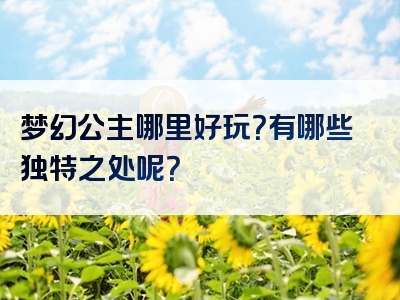 梦幻公主哪里好玩？有哪些独特之处呢？