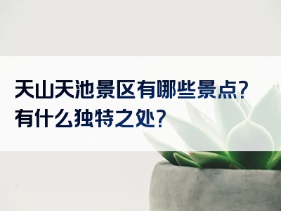 天山天池景区有哪些景点？有什么独特之处？