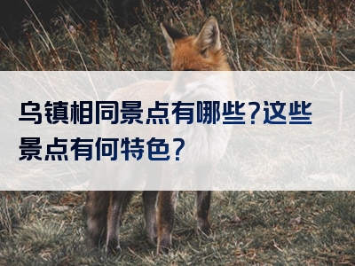 乌镇相同景点有哪些？这些景点有何特色？