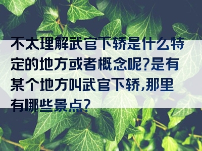 不太理解武官下轿是什么特定的地方或者概念呢？是有某个地方叫武官下轿，那里有哪些景点？