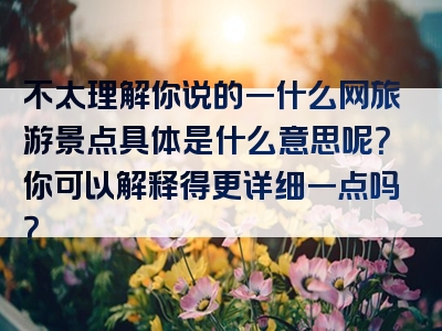 不太理解你说的一什么网旅游景点具体是什么意思呢？你可以解释得更详细一点吗？