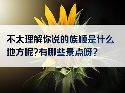 不太理解你说的族顺是什么地方呢？有哪些景点呀？