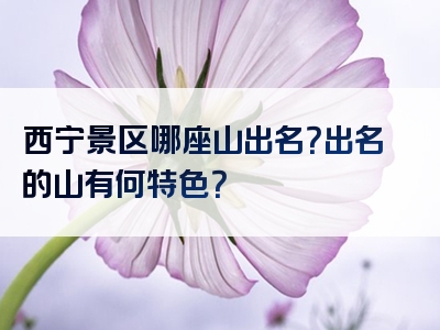 西宁景区哪座山出名？出名的山有何特色？