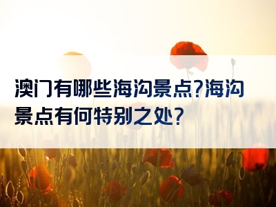 澳门有哪些海沟景点？海沟景点有何特别之处？