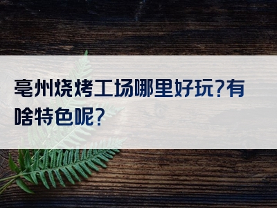 亳州烧烤工场哪里好玩？有啥特色呢？