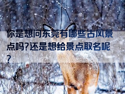 你是想问东莞有哪些古风景点吗？还是想给景点取名呢？