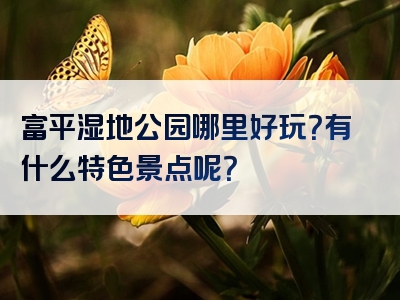富平湿地公园哪里好玩？有什么特色景点呢？