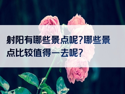 射阳有哪些景点呢？哪些景点比较值得一去呢？