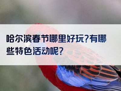 哈尔滨春节哪里好玩？有哪些特色活动呢？