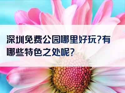 深圳免费公园哪里好玩？有哪些特色之处呢？