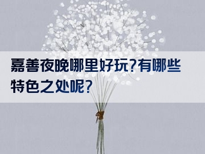 嘉善夜晚哪里好玩？有哪些特色之处呢？