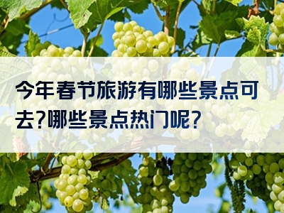 今年春节旅游有哪些景点可去？哪些景点热门呢？