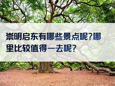 崇明启东有哪些景点呢？哪里比较值得一去呢？
