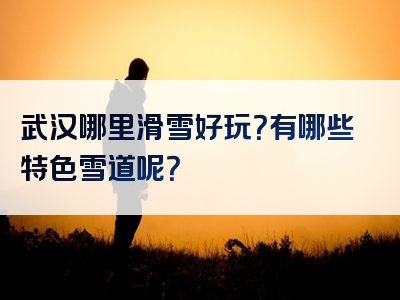 武汉哪里滑雪好玩？有哪些特色雪道呢？