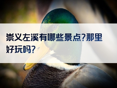 崇义左溪有哪些景点？那里好玩吗？