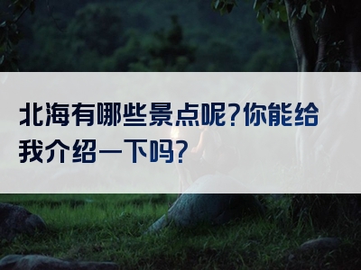 北海有哪些景点呢？你能给我介绍一下吗？