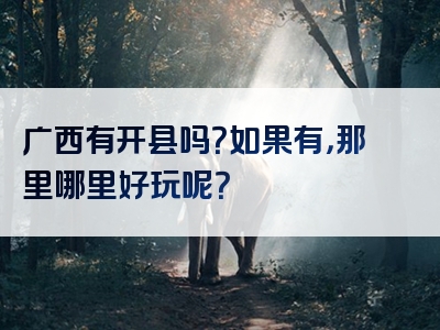 广西有开县吗？如果有，那里哪里好玩呢？