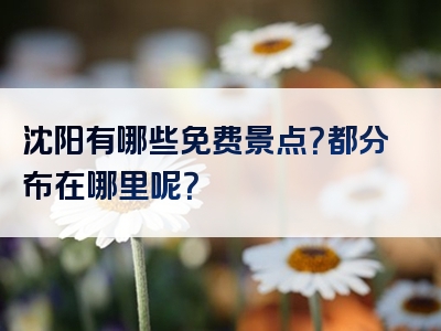 沈阳有哪些免费景点？都分布在哪里呢？