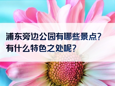 浦东旁边公园有哪些景点？有什么特色之处呢？