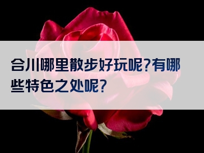 合川哪里散步好玩呢？有哪些特色之处呢？
