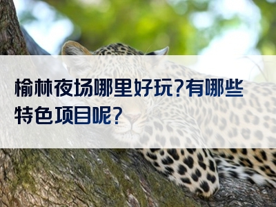 榆林夜场哪里好玩？有哪些特色项目呢？