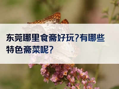 东莞哪里食斋好玩？有哪些特色斋菜呢？