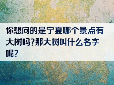 你想问的是宁夏哪个景点有大树吗？那大树叫什么名字呢？