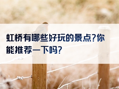 虹桥有哪些好玩的景点？你能推荐一下吗？