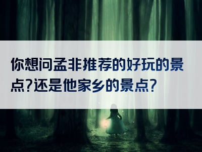 你想问孟非推荐的好玩的景点？还是他家乡的景点？