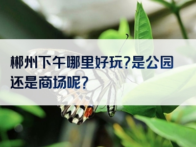 郴州下午哪里好玩？是公园还是商场呢？