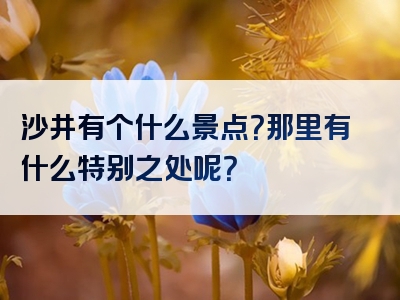 沙井有个什么景点？那里有什么特别之处呢？