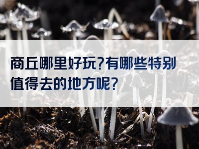 商丘哪里好玩？有哪些特别值得去的地方呢？
