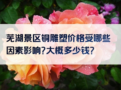 芜湖景区铜雕塑价格受哪些因素影响？大概多少钱？