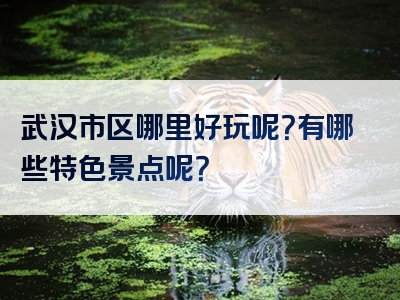 武汉市区哪里好玩呢？有哪些特色景点呢？