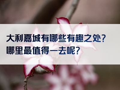 大利嘉城有哪些有趣之处？哪里最值得一去呢？