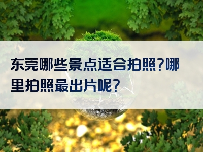 东莞哪些景点适合拍照？哪里拍照最出片呢？