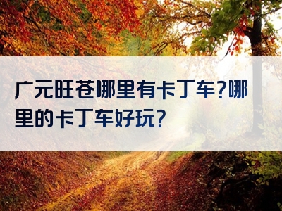 广元旺苍哪里有卡丁车？哪里的卡丁车好玩？