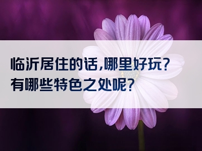 临沂居住的话，哪里好玩？有哪些特色之处呢？
