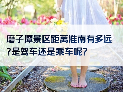 磨子潭景区距离淮南有多远？是驾车还是乘车呢？