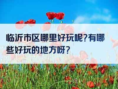 临沂市区哪里好玩呢？有哪些好玩的地方呀？