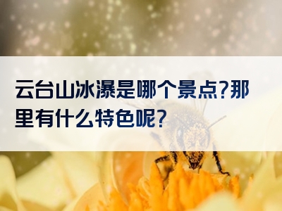 云台山冰瀑是哪个景点？那里有什么特色呢？