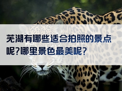 芜湖有哪些适合拍照的景点呢？哪里景色最美呢？
