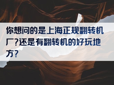 你想问的是上海正规翻转机厂？还是有翻转机的好玩地方？
